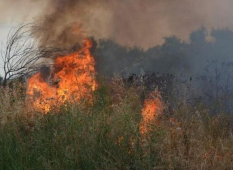 Αγία Νάπα: Πυρκαγιά κατεύκαψε έξι δεκάρια χαμηλής βλάστησης