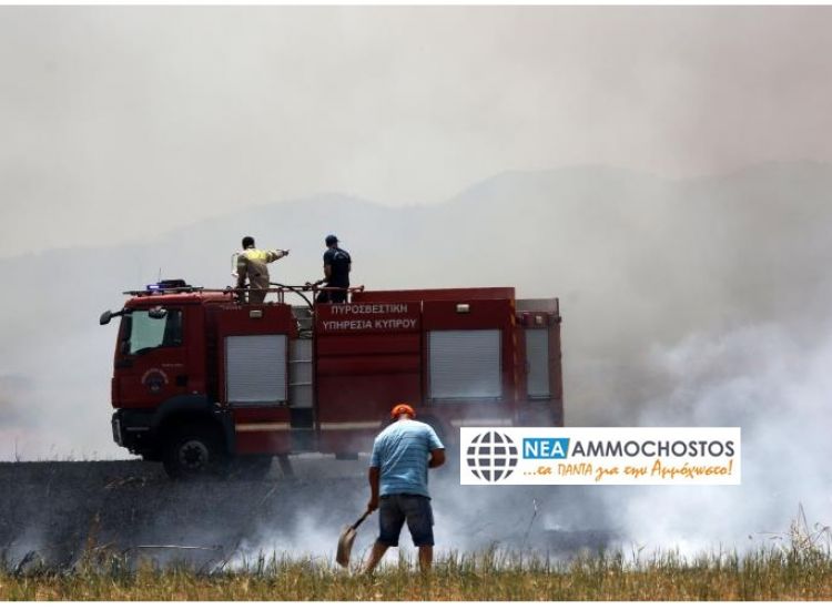 Σωτήρα: Υπό πλήρη έλεγχο η δασική πυρκαγιά πλησίον του κρατικού δάσους «Άγιος Νίκανδρος»