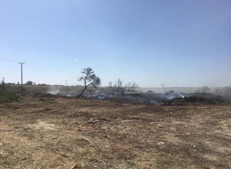 Λιοπέτρι - Σωτήρα: Υπό πλήρη έλεγχο η πυρκαγιά που εκδηλώθηκε μετά από ανάφλεξη οχήματος