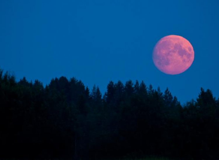 ΚΥΠΡΟΣ: Έρχεται το ανοιξιάτικο «ροζ φεγγάρι»