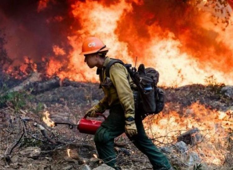 Ποιοι κερδίζουν από τις τεράστιες πυρκαγιές στον Αμαζόνιο