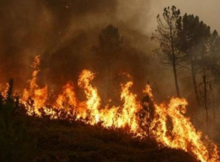 Πυρκαγιά από τα κατεχόμενα επεκτάθηκε εντός της νεκρής ζώνης στη Δερύνεια