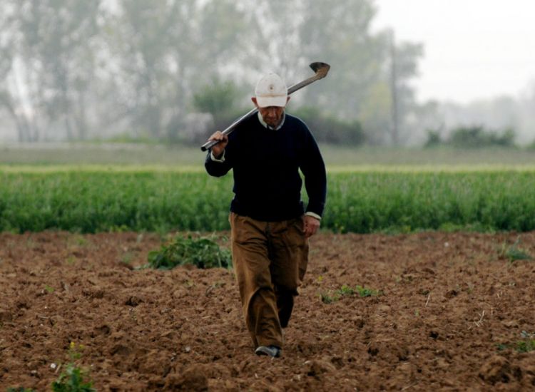 Γεωργοί-Αμμόχωστος: Οταν οι κόποι μιας χρονιάς δεν ανταμείβονται