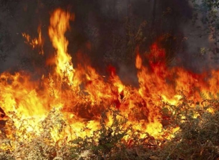 Φωτιά σε χωράφι στο Λιοπέτρι… Κάηκαν 45 πάλες σανού αξίας €1,500