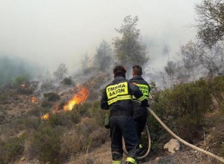 Σωτήρα: Τέθηκε υπό έλεγχο πριν επεκταθεί φωτιά στο κρατικό δάσος