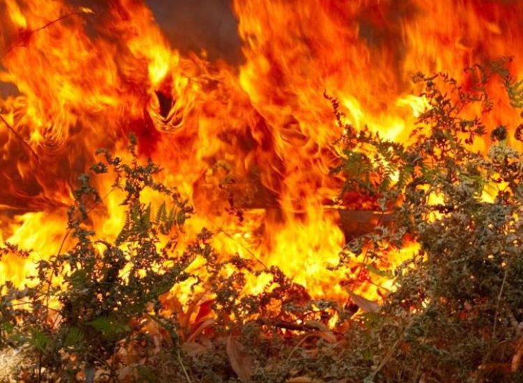 Πυρκαγιές απειλούν περιβόλια Δερυνειωτών!(Τελευταίες εξελίξεις)