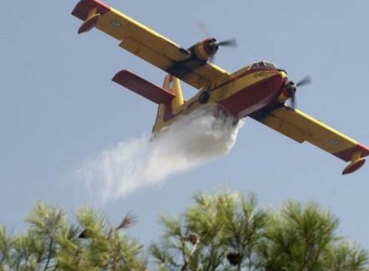 ΤΩΡΑ: Πυρκαγιά στην Αγία Νάπα – Επιχειρούν δυο αεροσκάφη