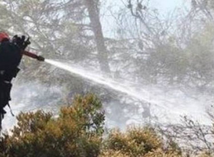 Πυρκαγιές Δερύνεια: Απείληθηκαν χωράφια Δερυνειωτών!