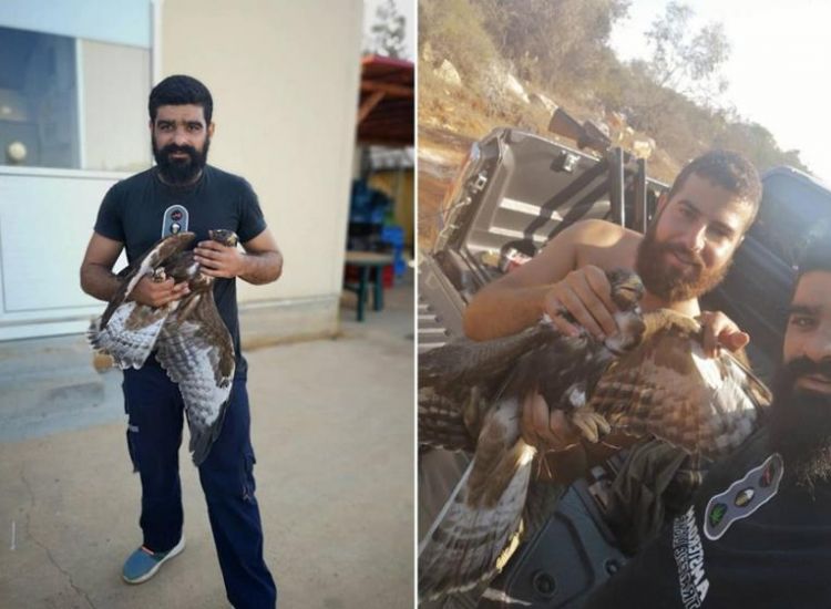 ΠΑΡΑΛΙΜΝΙ: Κυνηγοί διέσωσαν τραυματισμένο αετό (photos)