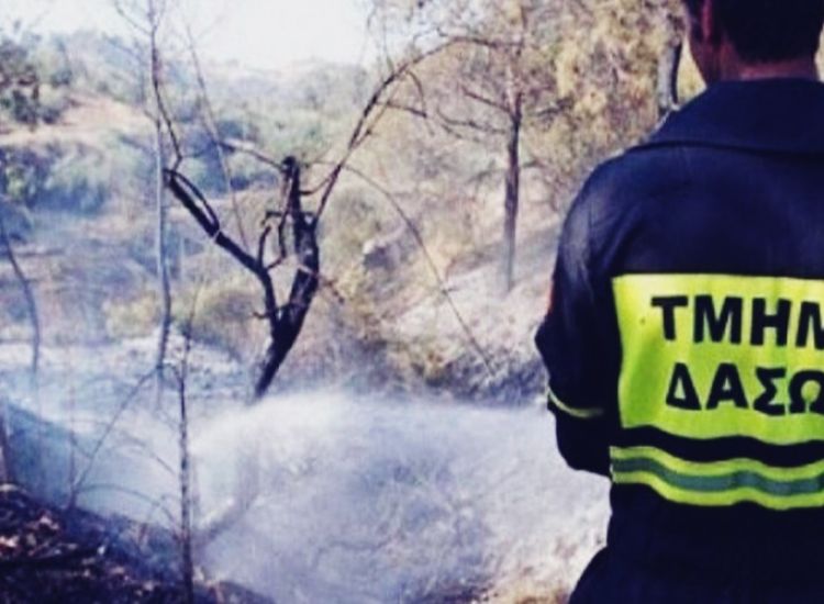 Κάβο Γκρέκο: Υπό έλεγχο πριν πάρει διαστάσεις η πυρκαγιά