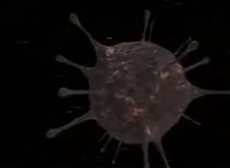 Εμβόλιο για τον κορωνοϊό: Οι Ρώσοι λένε ότι θα καθαρίσουν τον πλανήτη και προβάλλουν τον... δορυφόρο Sputnik