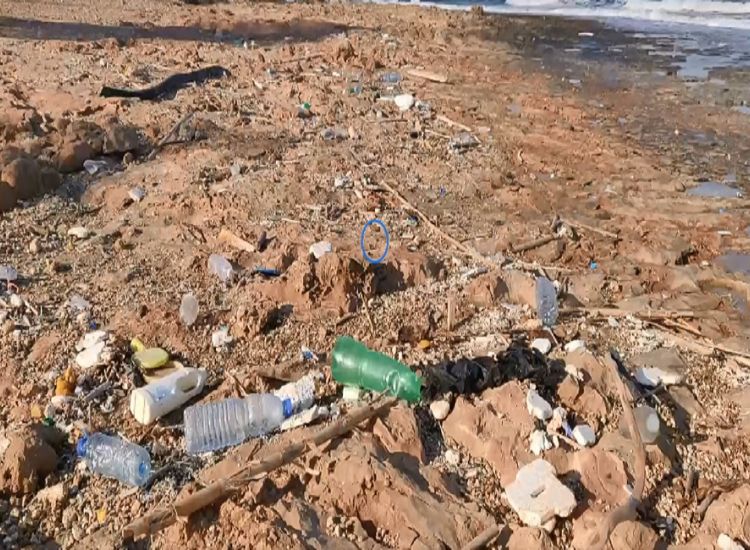 Περνέρα: Γεμάτη σκουπίδια η παραλία Αιγιαλός (photos/video)