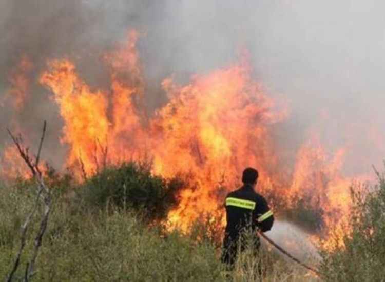 Πυρκαγιά στο Λιοπέτρι έκαψε έκταση ενός εκταρίου