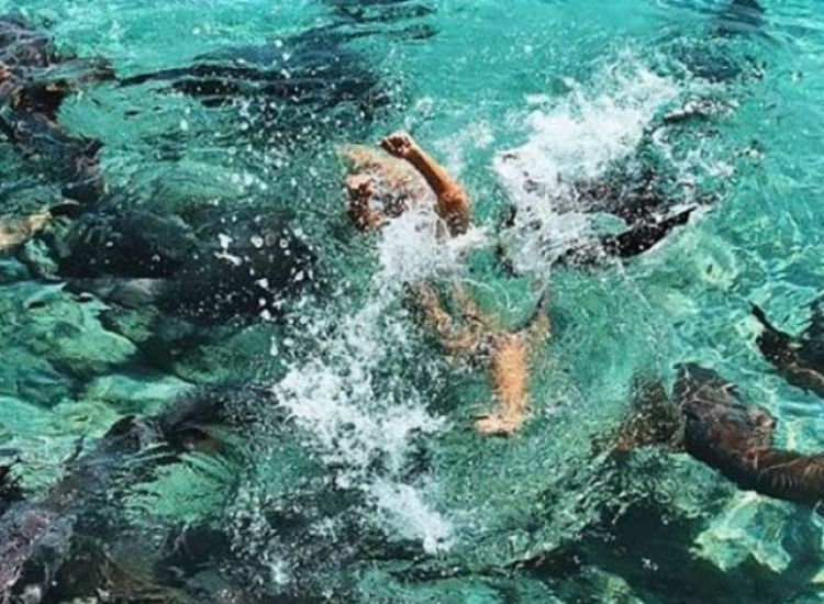 ΦΩΤΟΓΡΑΦΙΕΣ: 19χρονο μοντέλο κολύμπησε με καρχαρίες και της επιτέθηκαν