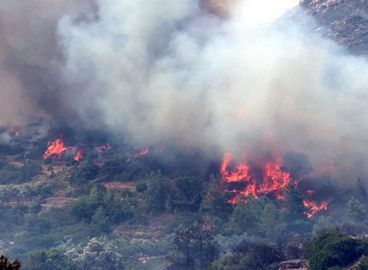 Κόκκινος συναγερμός από Τμήμα Δασών για πρόκληση πυρκαγιών